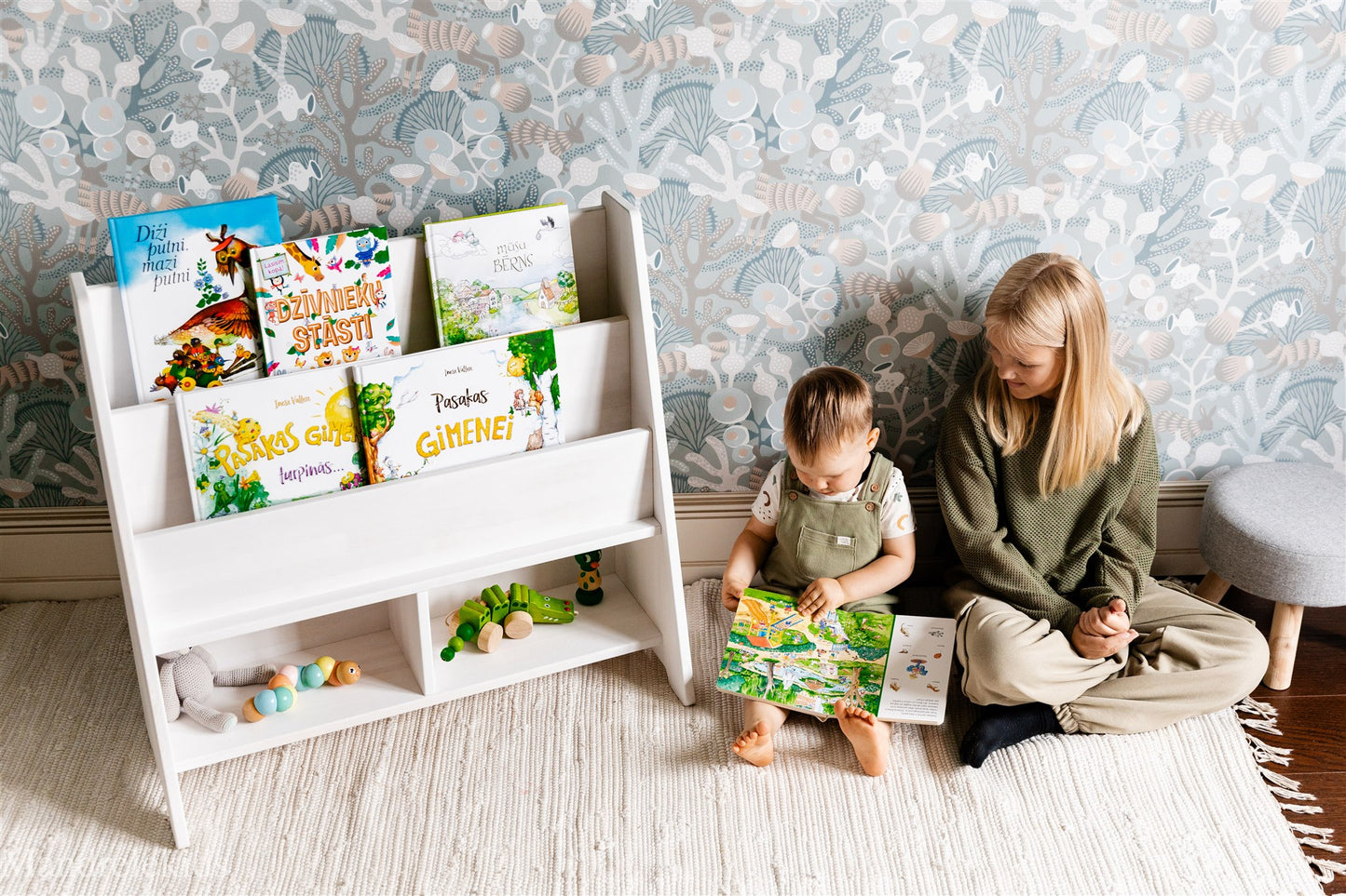 Montessori Bookshelf