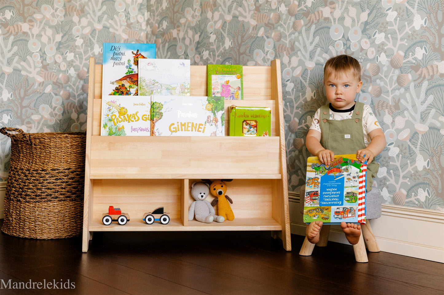 Montessori Bookshelf
